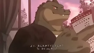 an aligators keep spiralling to my house